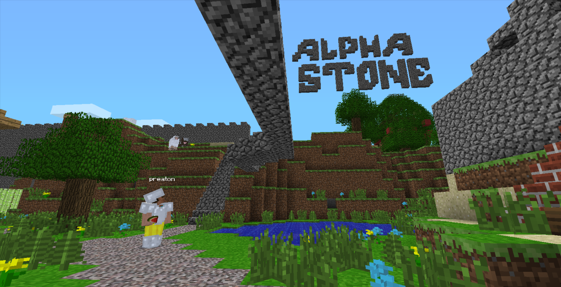 Server Screenshot 1